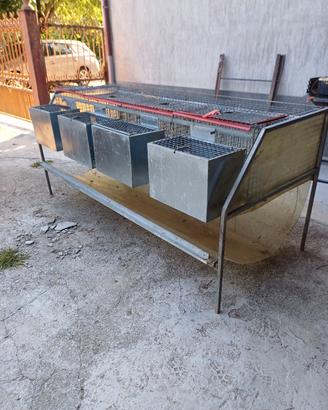 gabbia per coniglie  fattrici