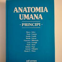 Anatomia umana, principi