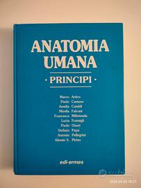 Anatomia umana, principi
