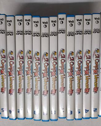 dvd esplorando il corpo umano