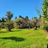 Vendita terreno agricolo