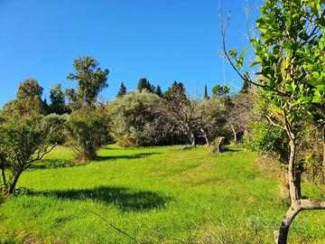 Vendita terreno agricolo
