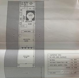 Attività di Pizzeria