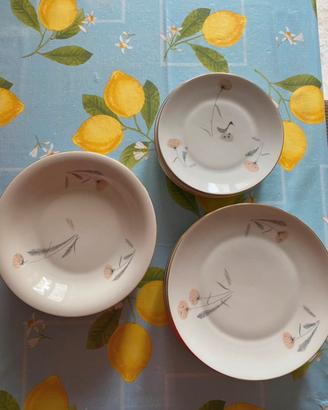 Set Piatti Chodzież