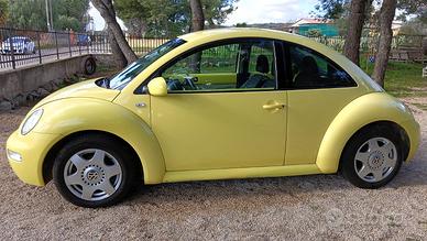 Maggiolino volkswagen