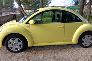 Maggiolino volkswagen