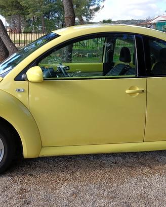 Maggiolino volkswagen