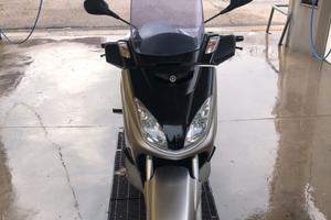 Xmax 250
