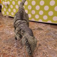 Gigantosauro jurassic world 