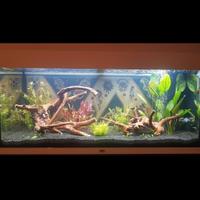 juwel rio 180 led