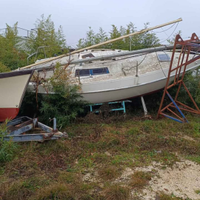 Barca a vela con entrobordo
