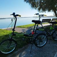 Biciclette pieghevoli Girardengo