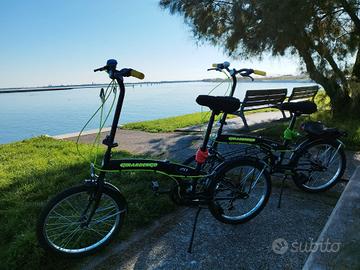 Biciclette pieghevoli Girardengo
