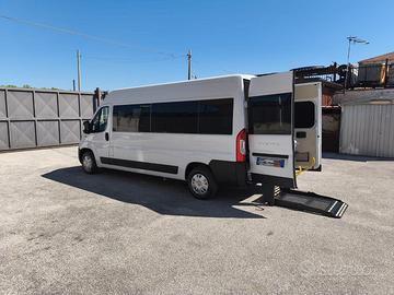 Trasporto Disabili  9 Posti Fiat Ducato Maxi