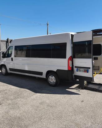 Trasporto Disabili  9 Posti Fiat Ducato Maxi