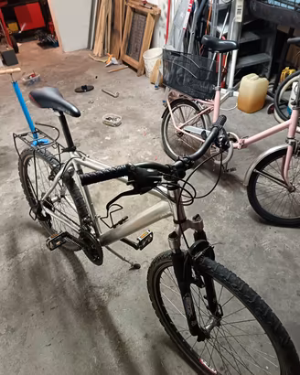 biciclette
