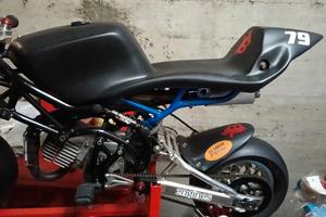 Minimoto dm
