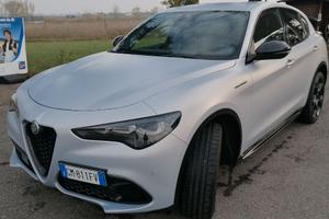 Stelvio competizione