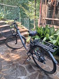 bicicletta pedalata assistita