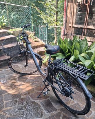 bicicletta pedalata assistita