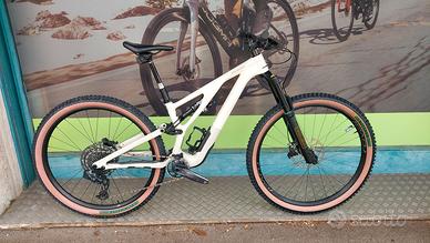 Specialized Stumpjumper carbon Expert EVO tg S