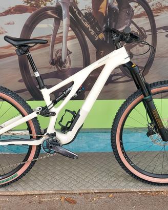 Specialized Stumpjumper carbon Expert EVO tg S