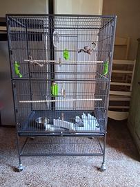 Voliera per papapgalli
