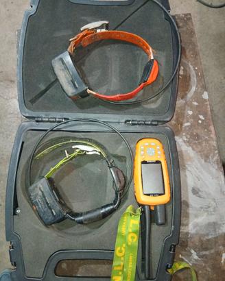 palmare con due collari g.p.s astro 320 T5