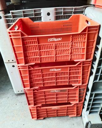 Cassette Agricole Ortofrutta