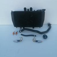 Radiatore triumph speed triple 955i