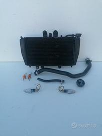 Radiatore triumph speed triple 955i