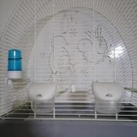 Gabbietta per uccelli