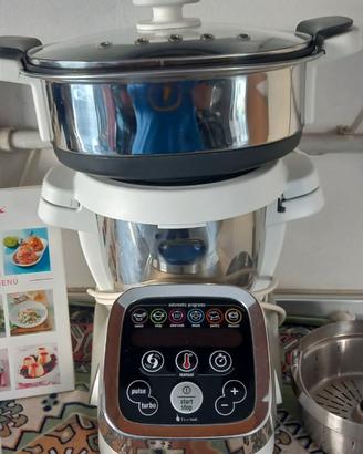 Moulinex companion