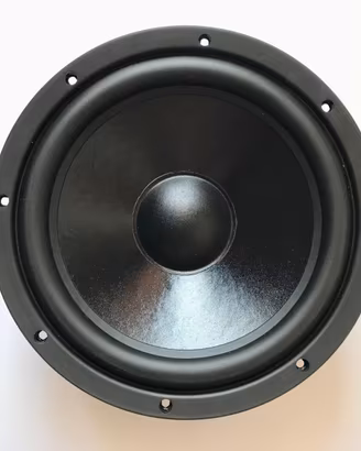 2 Woofer SICA 10H2CS da 4 Ohm - 25 CM nuovissimi