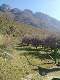 Vendita terreno agricolo