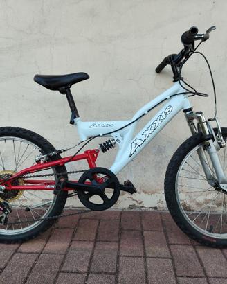 Bicicletta MTB