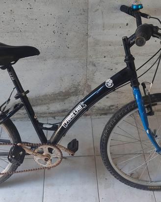 Bici ruota 24