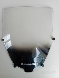 Cupulino Ninja zx 9 r 