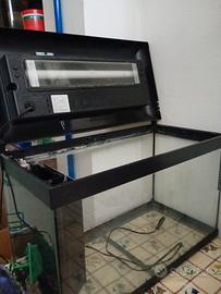 Acquario 