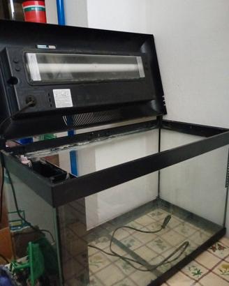 Acquario 