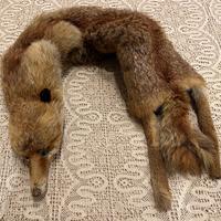 Colli di pelliccia di volpe