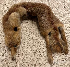 Colli di pelliccia di volpe