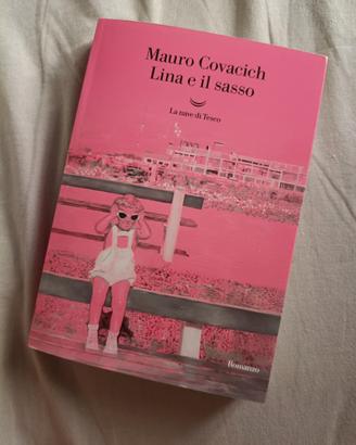 libro NUOVO " lina e il sasso "