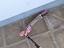 Immagine 4