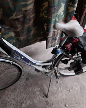 Bicicletta ebike da donna Bottecchia verde natura