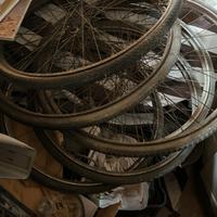 Cerchi bici a bacchetta