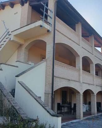 RGE 49/2025 Trib Pesaro