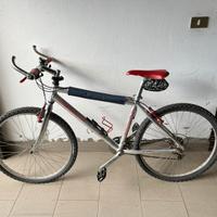 Bicicletta mtb