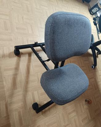 sedia ergonomica Ikea EIFRED