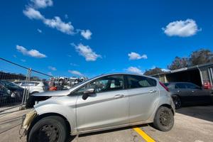 RICAMBI AUTO FORD FIESTA 2011 GRIGIA